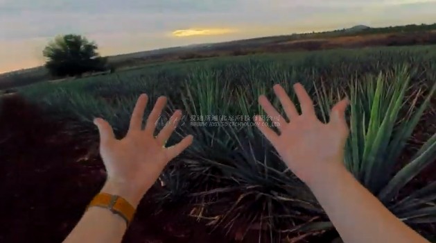 虚拟现实|虚拟仿真|三维虚拟技术|可视化工程|虚拟仿真交互|航空航天|汽车仿真|轮船仿真|列车仿真|多媒体应用|轨道交通|船舶制造|能源矿业|电力仿真|游戏开发|虚拟漫游|建筑设计|石油钻井|核能开放|互动营销|展览展示|爱迪斯通